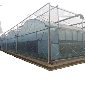 Good Quality Poly Tunnel Green House Low Cost Hot Sale Polytunnel Berry Greenhouse