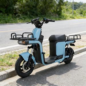 Bicicleta Eléctrica de 500W/1000W, 3 Velocidades, Motor sin Escobillas de Alta Velocidad, Largo Alcance, 15Ah, Cuadro de Acero, con Motor de 60V - Product Image 1