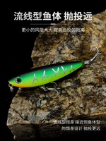 Leurres de pêche réalistes type Minnow, appâts durs, appâts artificiels laqués piano pour la pêche au bar