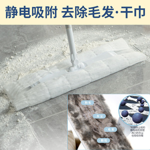 Disposable <b>Flat</b> <b>Mop</b> With Telescoping Handle For Wet And Dry Cleaning Zhejiang Made - Product Image 4