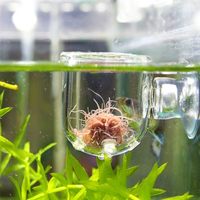 Coupe d'alimentation pour aquarium, récipient pour nourriture de vers rouges, mangeoire cylindrique en verre, bol transparent à ventouse