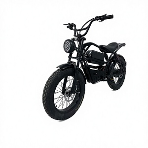 Bicicleta Eléctrica de Montaña JS-HaLei 1, de Alta Velocidad, 350W, 48V, 12Ah, con Motor de Tambor y Neumático de 20 Pulgadas, Precio de China, Gran Venta Estructura de Acero de Alta Calidad - Product Image 1