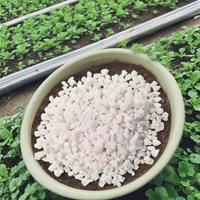 Perlite horticole emballée par le fabricant d'origine (OEM) pour les plantes d'intérieur, mélange de rempotage pour plantes succulentes