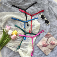 2024 nouveau sous-vêtement Sexy femmes en acier inoxydable érotique Lingerie Transparent caleçon string t-back Hipster y-back G-String