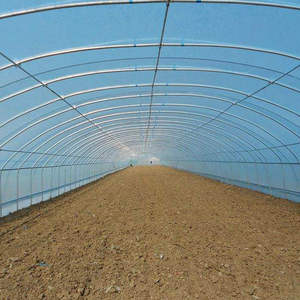 Vente agricole : Serre en polycarbonate pour jardin, culture de champignons à vendre - Product Image 4
