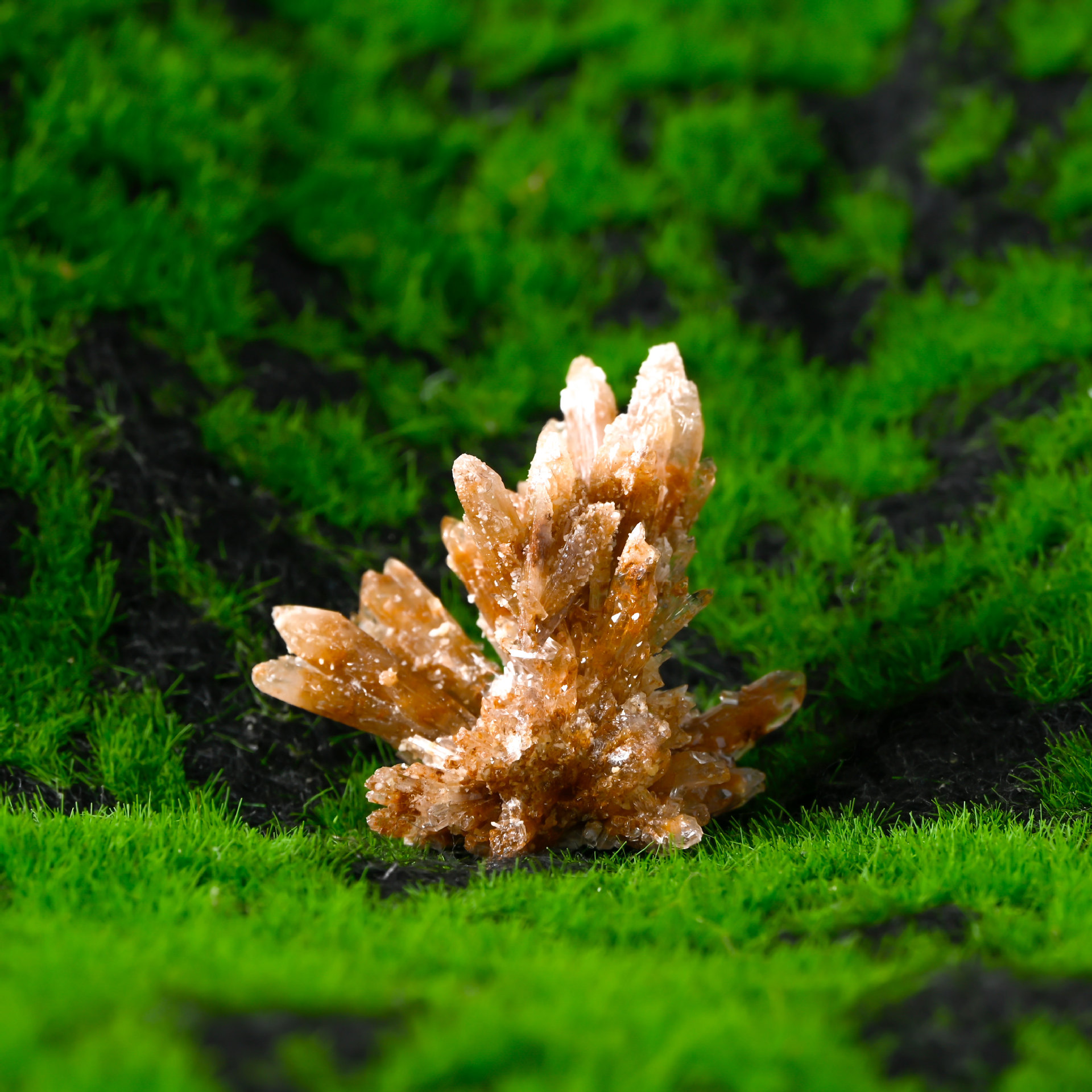 Gypsum flower mineral label