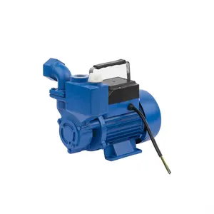 Easy to Sale High Pressure 0.37KW Small Household Agriculture Peripheral Water Pump