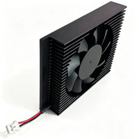 Module de dissipateur thermique en aluminium anodisé noir avec ventilateur de refroidissement actif pour petit processeur, GPU, puce graphique, appareil embarqué, OEM