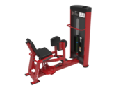 2024 Bodystorm fitness Commercial Gym équipement de fitness Leg Extension Prone Curl combo