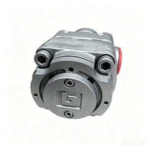 QX QX21 QX41 QX82 QX23 QX33 QX43 QX53 QX63 QX83 QX ปั๊มเกียร์ภายในไฮดรอลิกแรงดันสูง QX21-012R112-Y ปั๊มน้ำมัน - Product Image 3