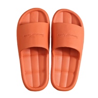 Vente en gros de pantoufles d'intérieur en EVA vierges pour personnalisation de logo Nouveau design Pantoufles féminines décontractées à la mode pour femmes