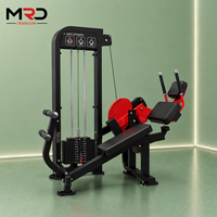 Machine à presser les mollets assis à charge par poulie, entraîneur de mollets et de soleus, équipement de fitness pour la force des jambes inférieures