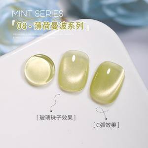 Lot de 10 couleurs de <span class=keywords><strong>vernis</strong></span> à ongles gel UV Cat Eye 10 ml <span class=keywords><strong>vernis</strong></span> gel magnétique vert menthe marque privée fournisseur OEM ODM personnalisé - Product Image 4