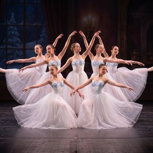 Robe de tutu de ballet romantique bleue et blanche, variation Casse-Noisette Fée des Neiges, tenue de scène professionnelle - Product Image 1