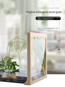 Boîte d'alimentation en verre, bac à chiens BG de croissance DJ-01, boîte en verre, pour gecko, corne de grenouille, araignée, <span class=keywords><strong>reptile</strong></span>, <span class=keywords><strong>terrarium</strong></span> - Product Image 4