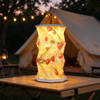 Cadeau d'anniversaire unique pour femmes, adorable lampe de table rechargeable à imprimé fraise, lampe de nuit LED portable à variation d'intensité tactile, style origami