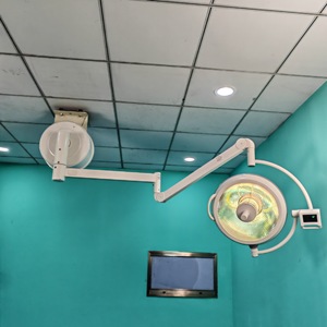 Lámpara Quirúrgica LED WYD-63, Iluminación Manual sin Sombra para Hospitales Veterinarios y Salones de Belleza - Product Image 2