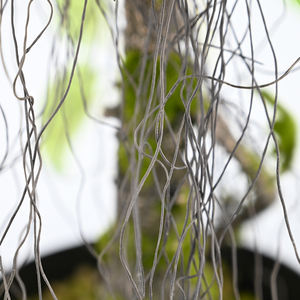 ต้นองุ่นประดิษฐ์ขนาด75ซม. พร้อมผลส้มเขียวหวานสำหรับในร่มห้องนั่งเล่นสำนักงานโรงงานต้นบอนไซ Kumquat - Product Image 4