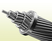 Cables Eléctricos de Aluminio Desnudo de Alta Calidad al por Mayor, Cables de Potencia Eléctrica, Trenzados Concéntricos, para Estaciones de Baja Potencia
