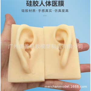 Modèle d'oreille en silicone, modèle d'oreille souple en TPR, moule d'oreille humaine réaliste, accessoire de démonstration pour aide auditive (oreille gauche) - Product Image 2