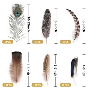 40/48Pcs Plumes teintées naturelles assorties en vrac 6 Styles Grandes Plumes mélangées Motif Long Plumage de <span class=keywords><strong>Faisan</strong></span> - Product Image 4