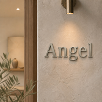 Insegna in Metallo 3D Personalizzata Non Illuminata in Acciaio Inox Titanio Oro per Pubblicità di Lusso e Branding Auto