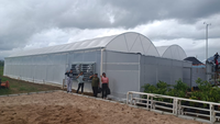 Serres agricoles en polycarbonate, serre multi-spans avec système d'irrigation goutte à goutte hydroponique