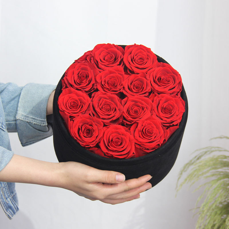 everlasting rose