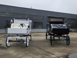 2025 blanco y negro Vintage dibujado por caballos boda turismo princesa carruaje horseless Royal carro eléctrico para la venta - Product Image 4