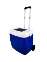 Glacière à roulettes 36L en PE avec panneau solaire et haut-parleur Bluetooth 5.0, étanche, maintien de la glace pendant 5 jours pour le vin et les pique-niques en extérieur