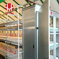 Cage à poulets de chair de type H à 3 niveaux, cage de batterie automatique pour poulets de chair, plancher en plastique, abreuvoir à tétine, convoyeur à fumier, acier galvanisé