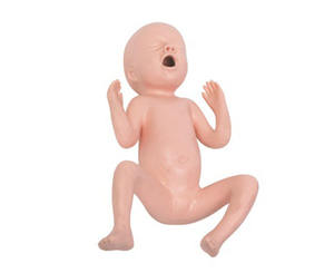 Modèle de bébé fille prématuré de trente semaines avec des caractéristiques physiologiques d'un <span class=keywords><strong>nourrisson</strong></span> prématuré pour l'éducation scolaire - Product Image 1