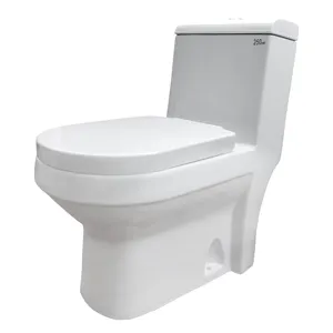 Goodone European Rear Outlet Rimless Sanitary Ware 1 Piece Porcelain Toilet