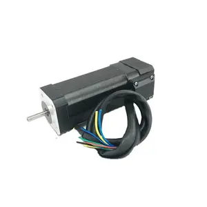 12V 24V 36V 48V Brushless DC Motor Option With Encoder & Gear Support OEM