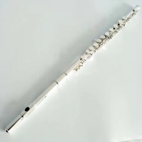 Flute 16/17 Holes Silver Plated Music Instruments