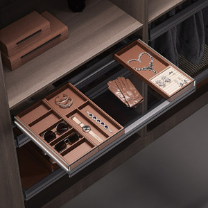 Cooper Vanca Jewelry Organizer <b>Drawer</b> Aluminum Telescopic Rack Wardrobe <b>Storage</b> <b>Box</b> 600mm For Jewelry - Product Image 1