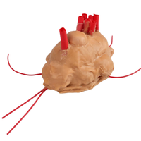 Modelo de Entrenamiento Laparoscópico para Fibroides Uterinos, Simulador de Resección de Histeromioomas de Silicona para Entrenamiento en Cirugía Ginecológica