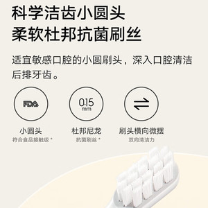 Xiaojia Electric <b>Toothbrush</b> T200 Rechargeable With Type C Charging And IPX7 Waterproof For Daily Oral Care - Product Image 5