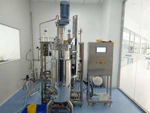 Biorreactor de Acero Inoxidable de Gran Capacidad, 20000L, Recipiente a Presión, PLC BLBIO-SJA - Product Image 6