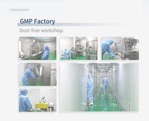 Oem Supplementen Gezondheid Griffonia Zaad Extract 5-htp <span class=keywords><strong>Capsules</strong></span>/5-htp Supplement/5-htp Tabletten - Product Image 4