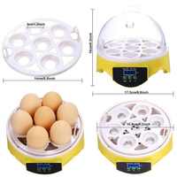 Incubateur miniature de qualité pour 7 œufs de poulet, de canard, d'oiseau, de pigeon - Contrôle numérique de la température, accessoire de nettoyage de cuisine