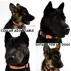 Conjunto de collar y correa de perro impermeable de lujo, correa reflectante de PVC y PU duradera para entrenamiento de seguridad nocturna para mascotas - Product Image 6