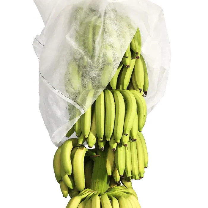 ผลิตภัณฑ์ทางการเกษตรอื่นๆจำหน่ายผ้าย่อยสลายได้โรงงานกล้วยรีไซเคิลครอบคลุม Pp สปันบอนผ้านอนวูฟเวน