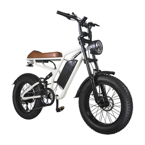 <span class=keywords><strong>Bici</strong></span> <span class=keywords><strong>Elettrica</strong></span> da Montagna Fuoristrada per Adulti CS-M1 con Pneumatici Fat da 20 Pollici per Passaggio Senza Ostacoli, Disponibile nel Magazzino USA - Product Image 4