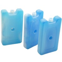 Brique de glace réutilisable en gel PCM pour la nourriture frseh dans un sac isotherme