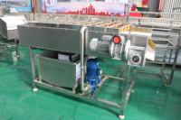 Fruit En Groente Haarwol Roller Reinigingsmachine Wortel Was En Schilmachine