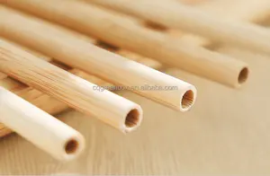 Vente en gros de paille de bambou biodégradable et robuste paille de bambou réutilisable jetable paille à boire en bambou naturel