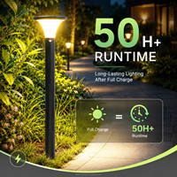Lampe Solaire de Jardin IP65 en Gros, Extérieure, 3000K 4000K 6000K, Télécommande, Garantie 3 Ans pour Aménagement Paysager de Villa Extérieure