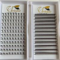 Extensions de cils en gros, styles Comic Spire, Manga, Anime, courbure D, 0.07mm, mix 8-15mm, bouquets préfabriqués, fibre PBT coréenne, faits à la main