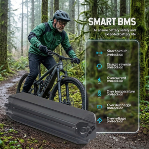 Batterie lithium Ebike Dorado 21700 36V 20Ah 25Ah 30Ah, batterie intégrée dans le cadre pour vélo électrique à pneus larges - Product Image 4